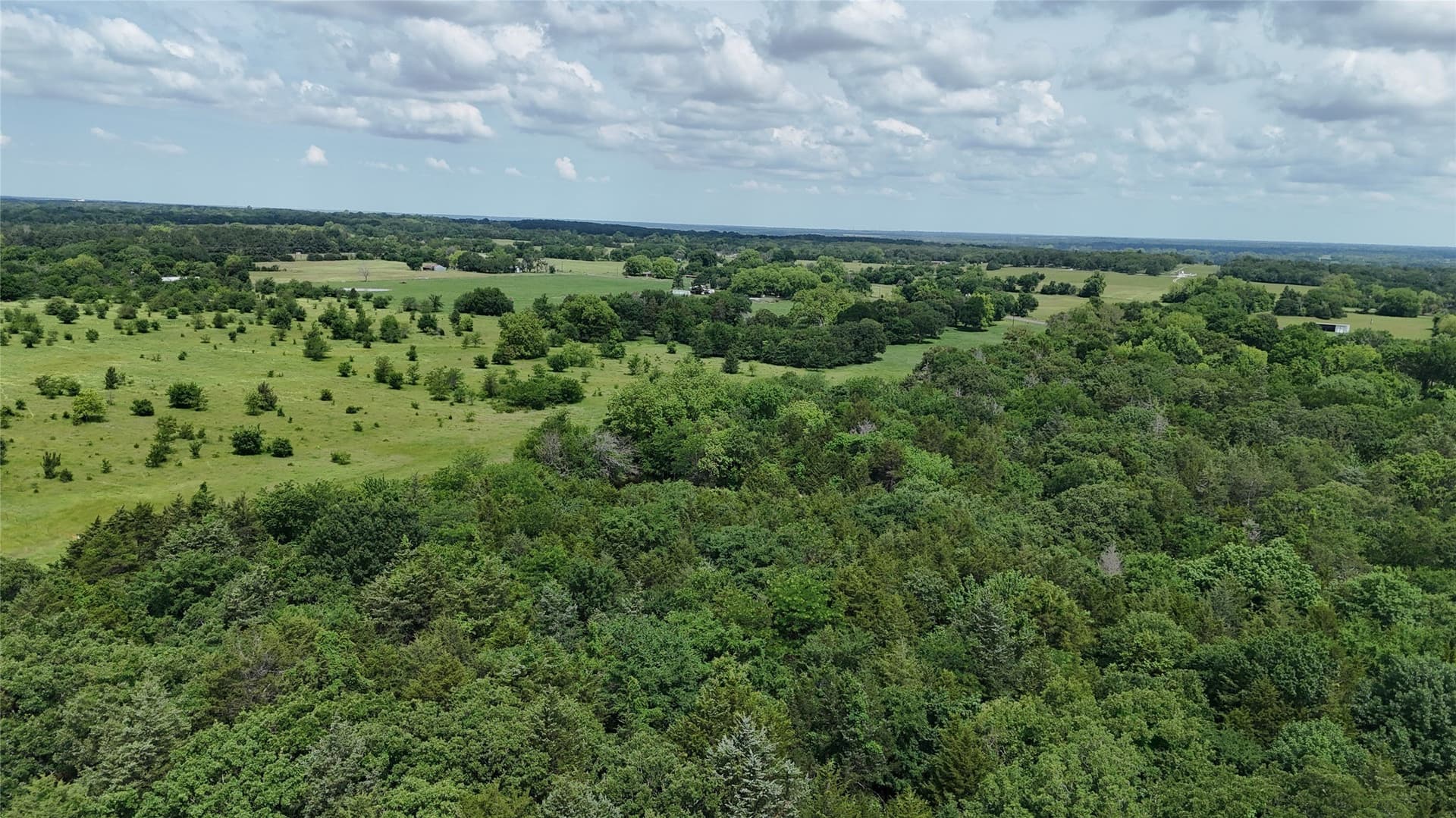 50.33 acres in Grayson County - photo 29