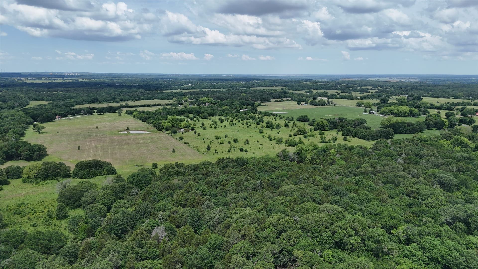 50.33 acres in Grayson County - photo 5