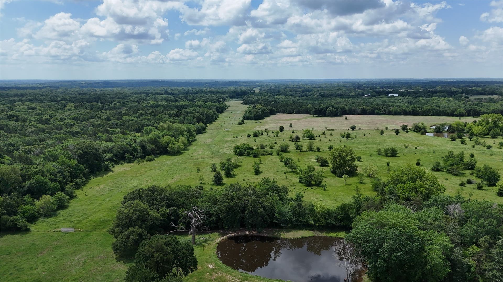 50.33 acres in Grayson County - photo 12