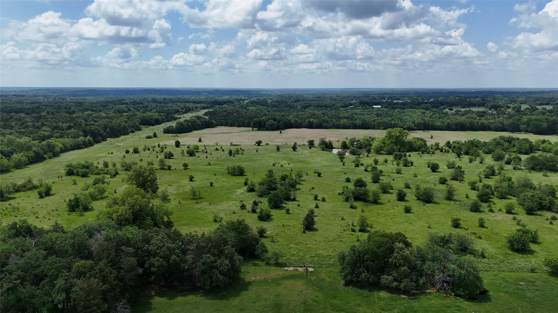 50.33 acres in Grayson County - photo 31