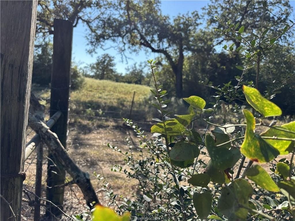2.97 acres in Burleson County - photo 14