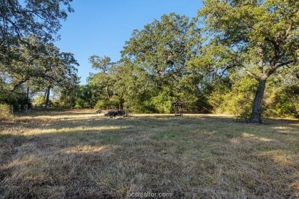 2.97 acres in Burleson County - photo 12