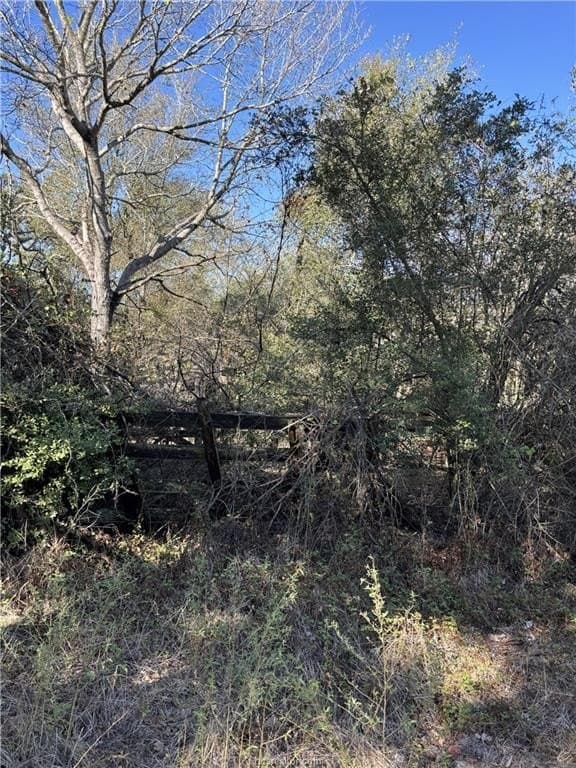2.97 acres in Burleson County - photo 16