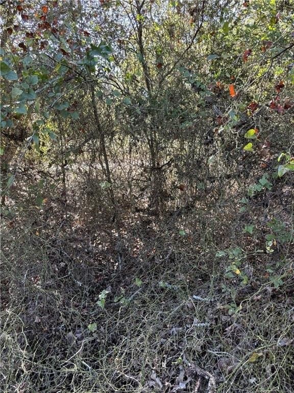 2.97 acres in Burleson County - photo 18