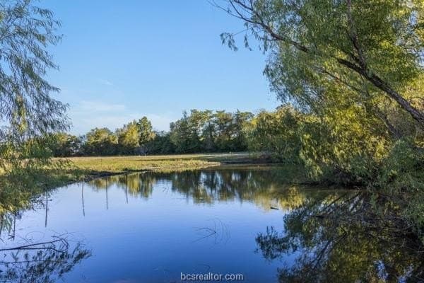 2.97 acres in Burleson County gallery image 4