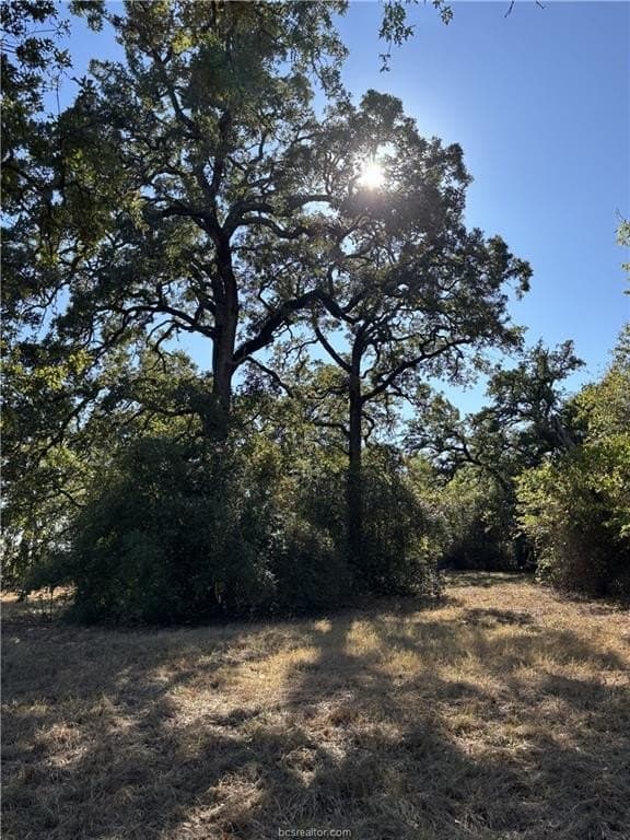 2.97 acres in Burleson County - photo 6