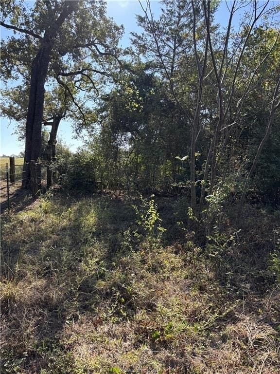 2.97 acres in Burleson County - photo 13