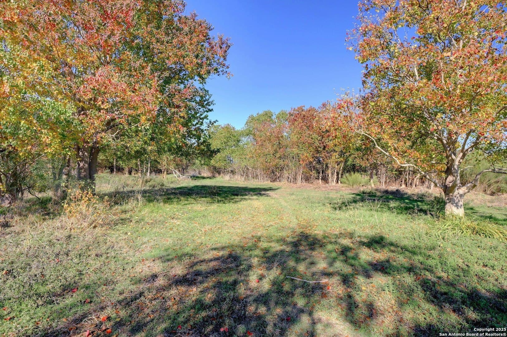 2.24 acres in Comal County - photo 27