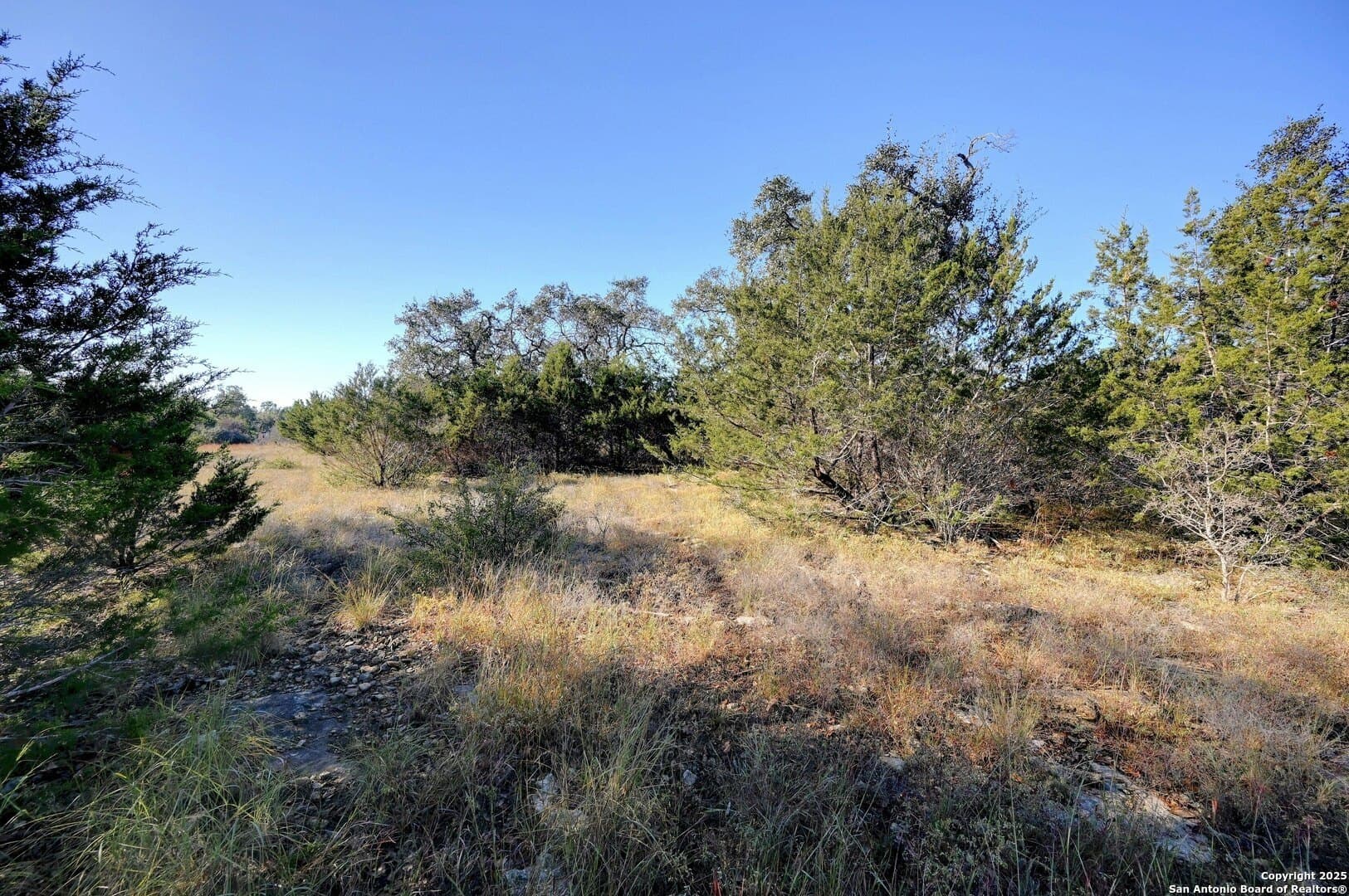 2.24 acres in Comal County - photo 12