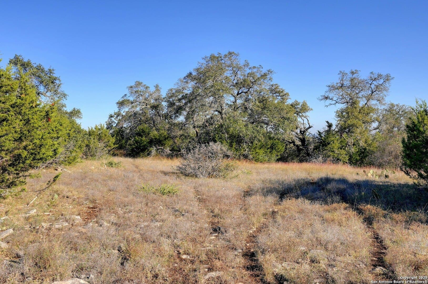2.24 acres in Comal County - photo 11