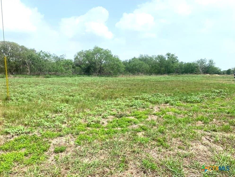 1.08 acres in Goliad County gallery image 4