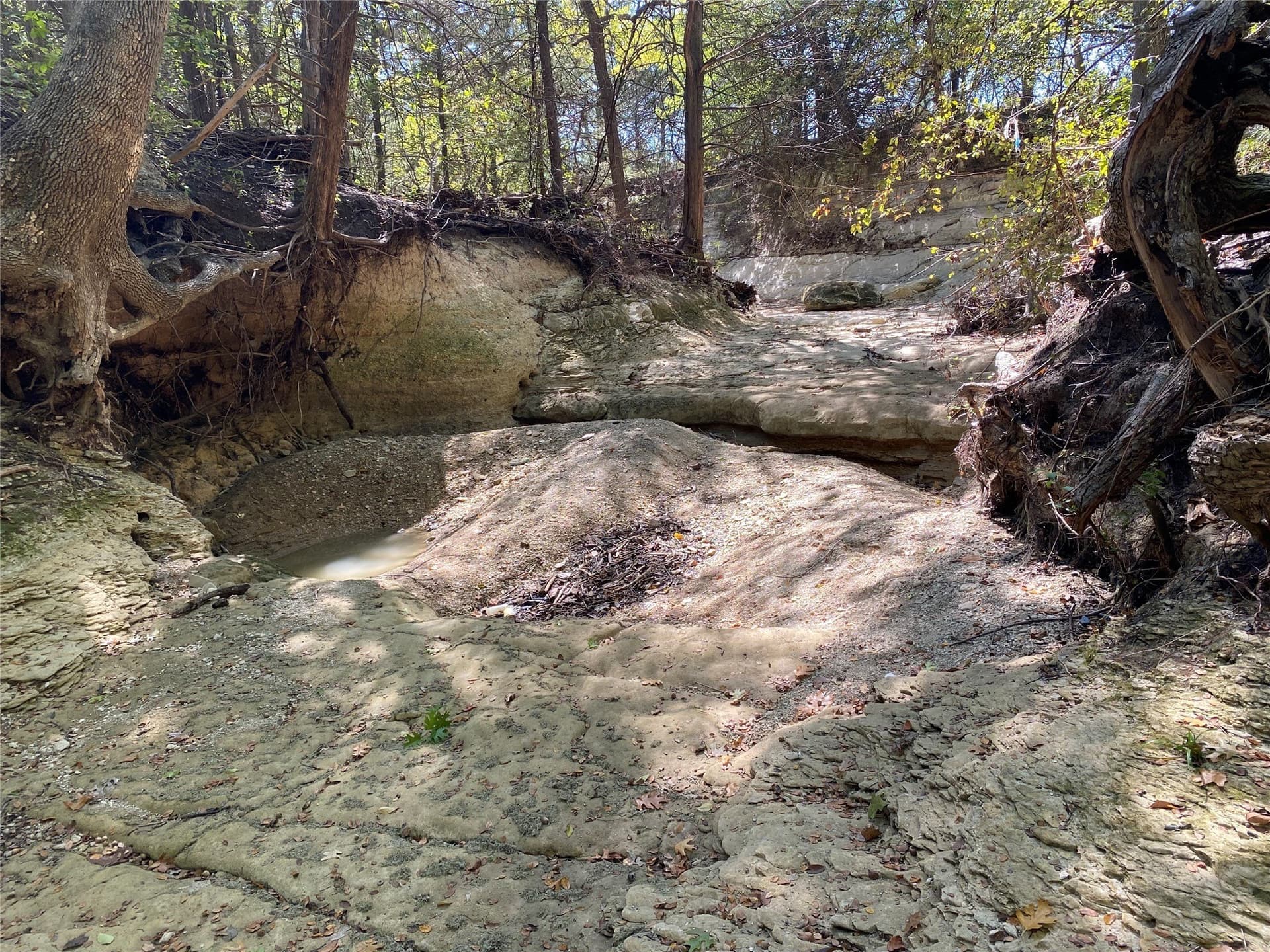 44.94 acres in Dallas County - photo 22