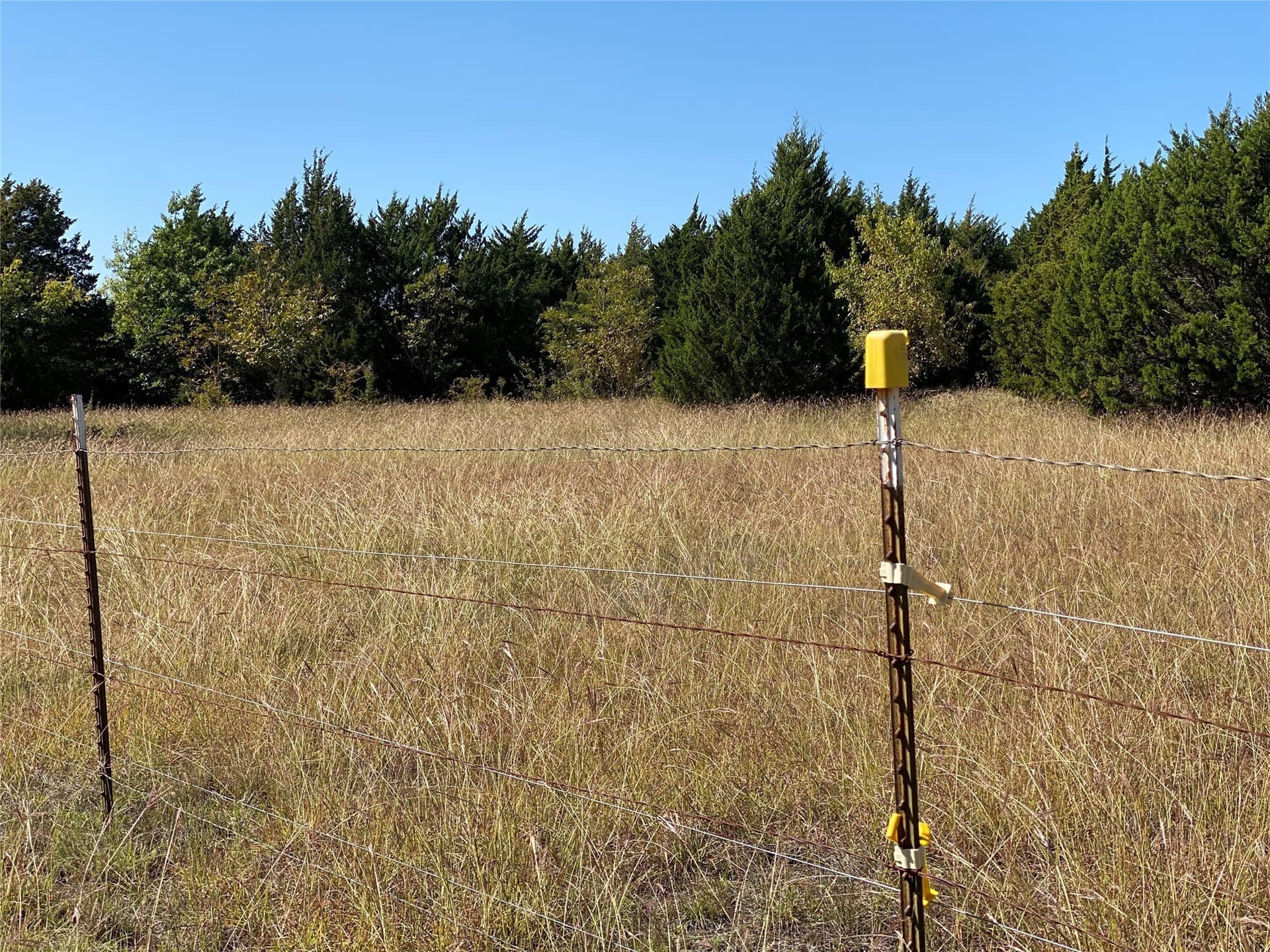 44.94 acres in Dallas County - photo 33