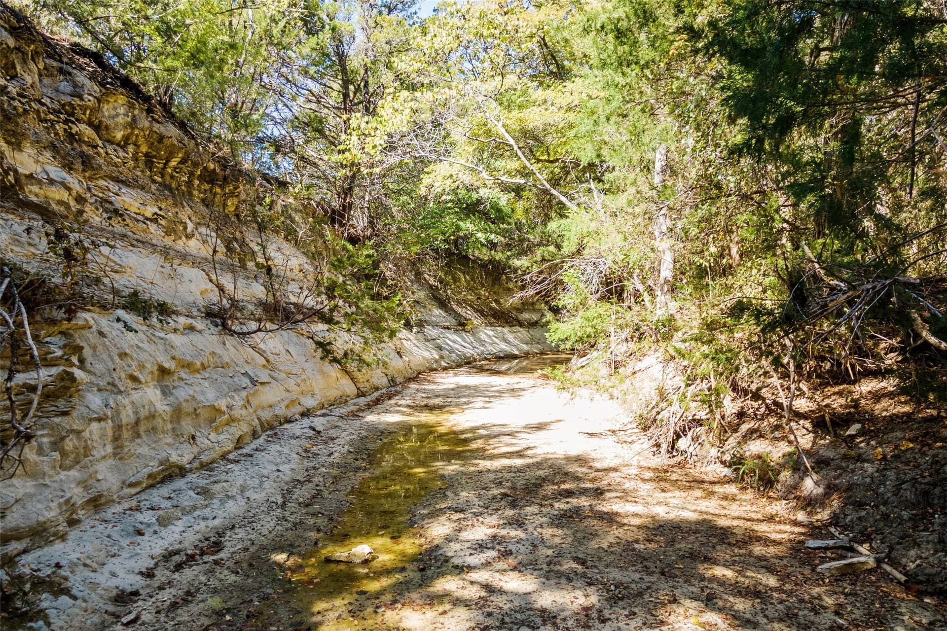 44.94 acres in Dallas County - photo 15