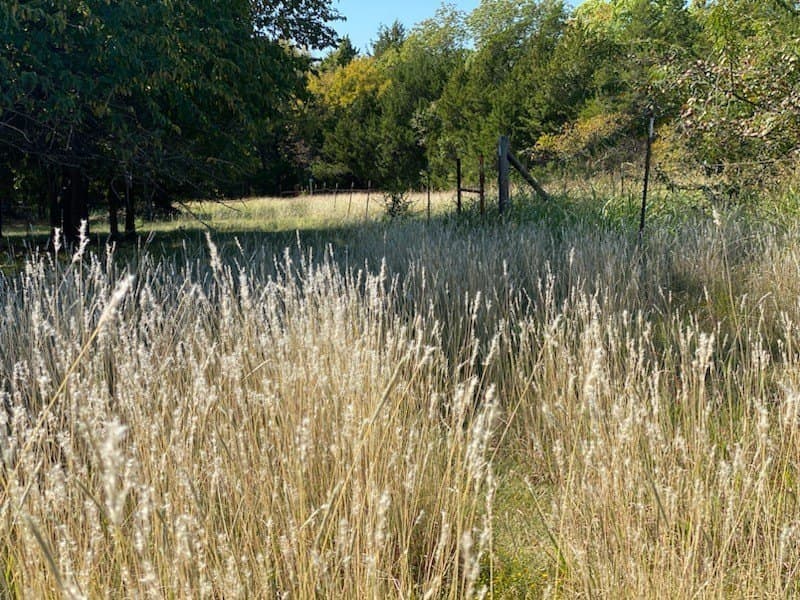 44.94 acres in Dallas County - photo 26