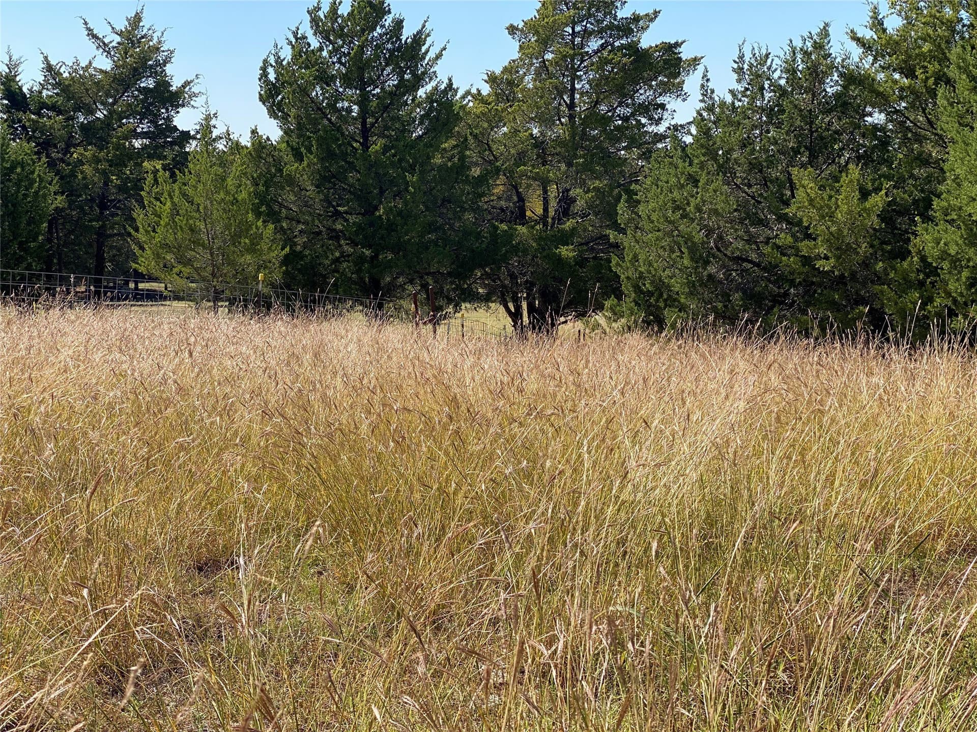 44.94 acres in Dallas County - photo 31