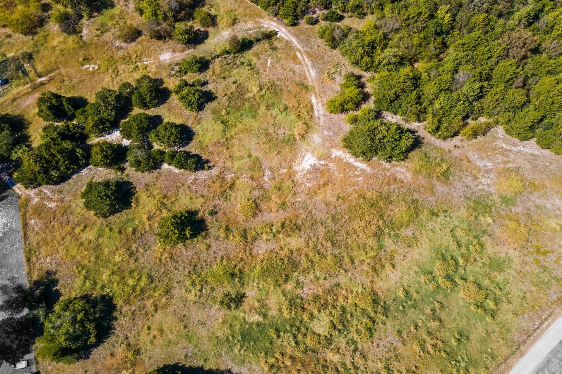 44.94 acres in Dallas County - photo 6