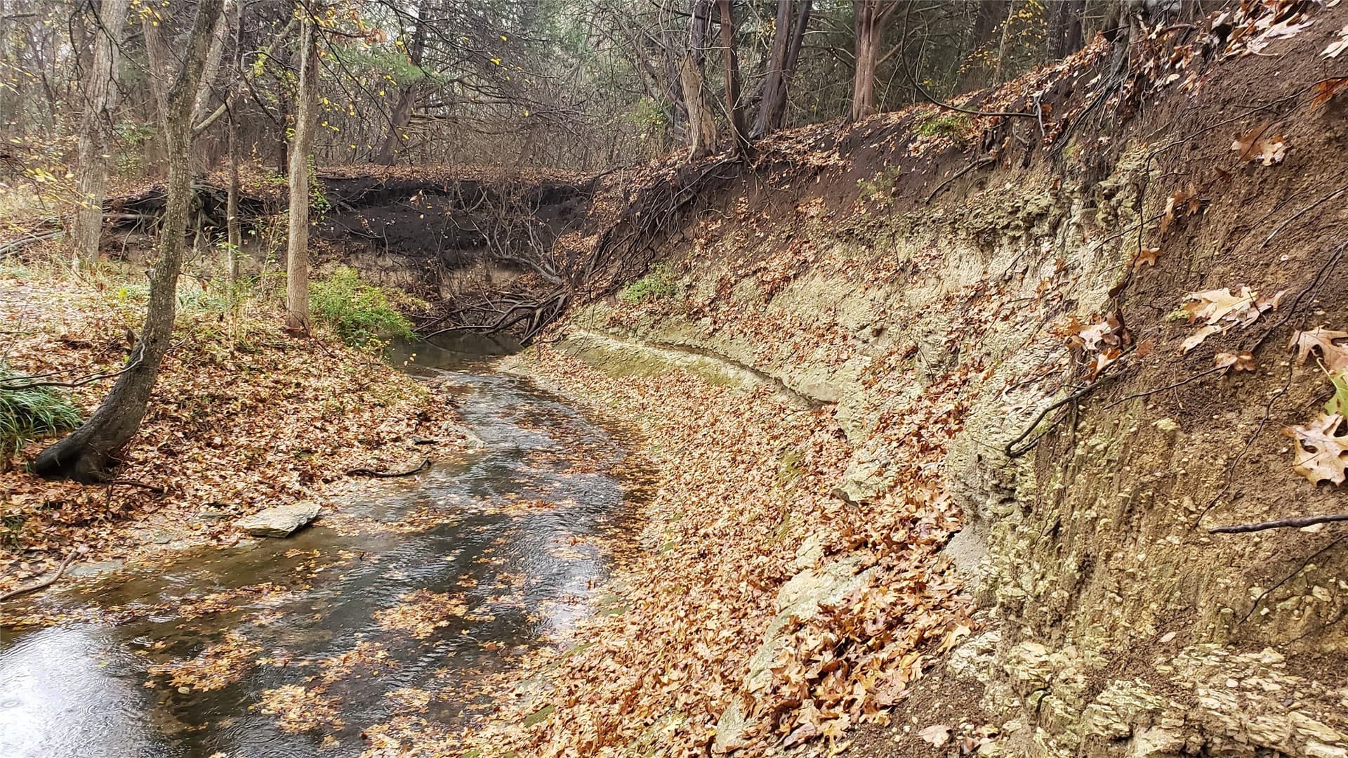 44.94 acres in Dallas County - photo 18