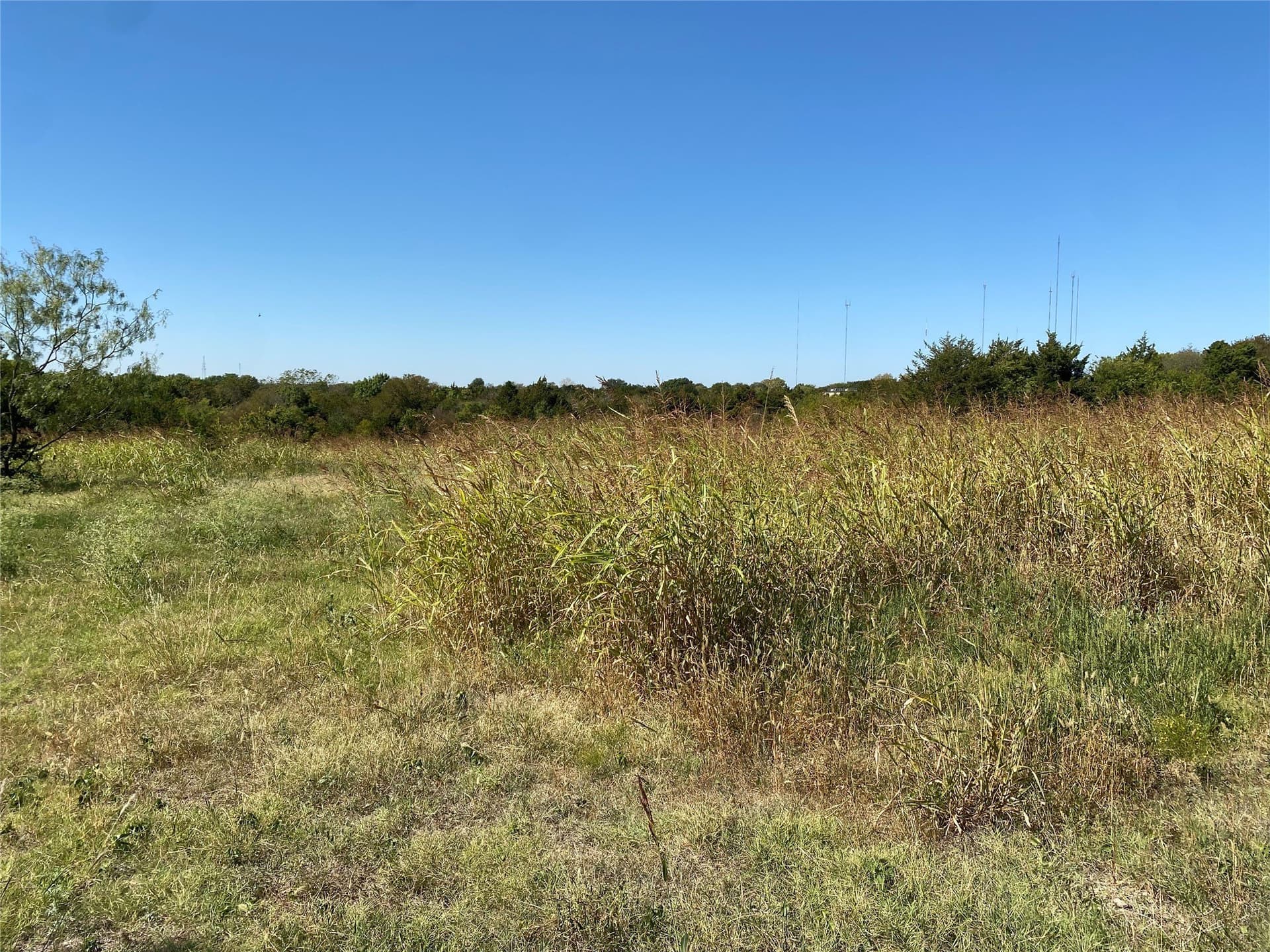 44.94 acres in Dallas County - photo 30
