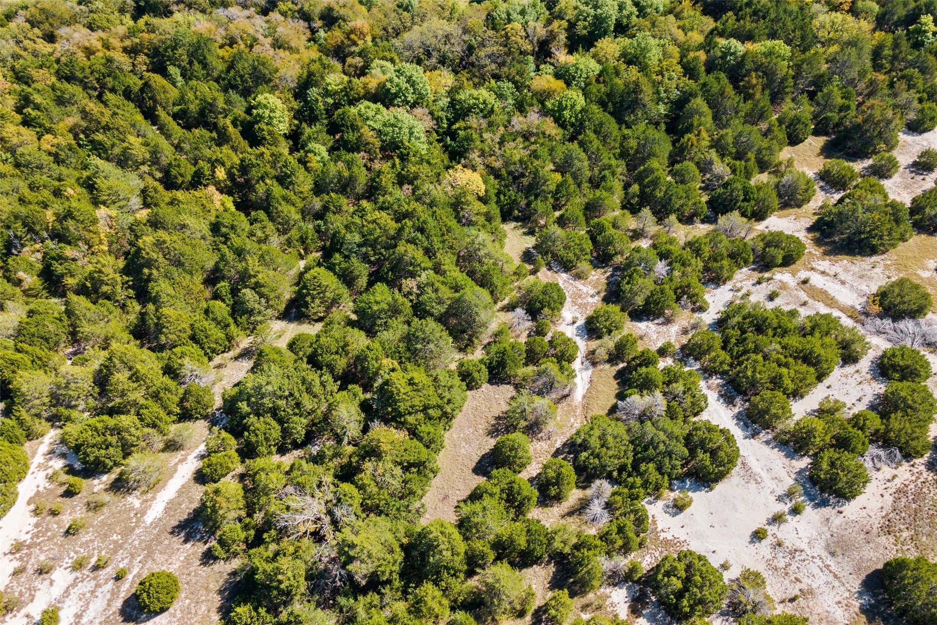 44.94 acres in Dallas County - photo 4