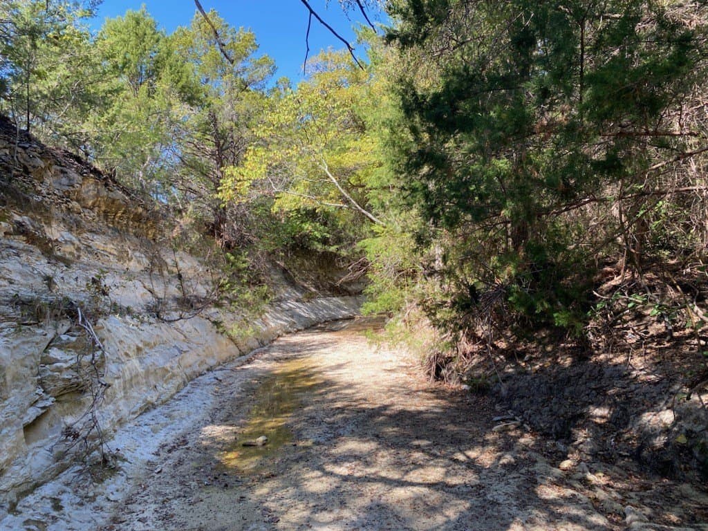 44.94 acres in Dallas County - photo 17