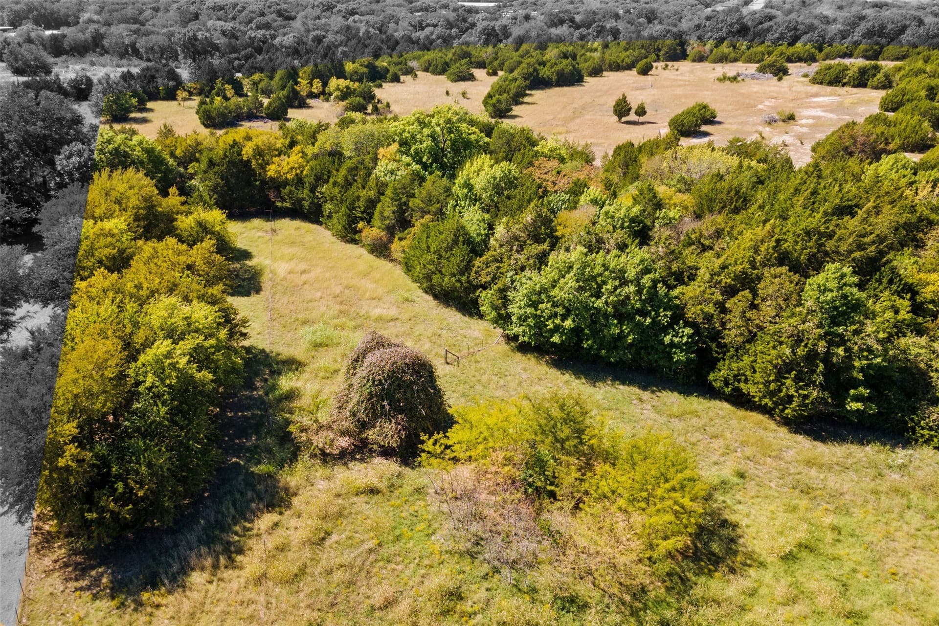 44.94 acres in Dallas County - photo 10
