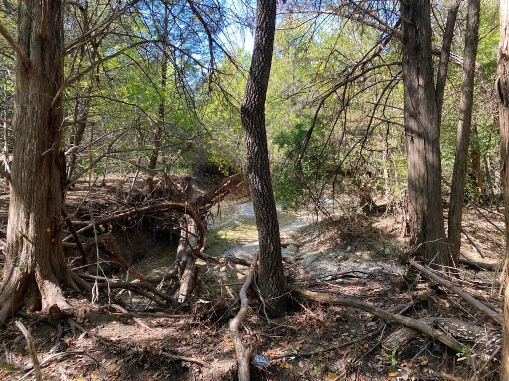 44.94 acres in Dallas County - photo 21