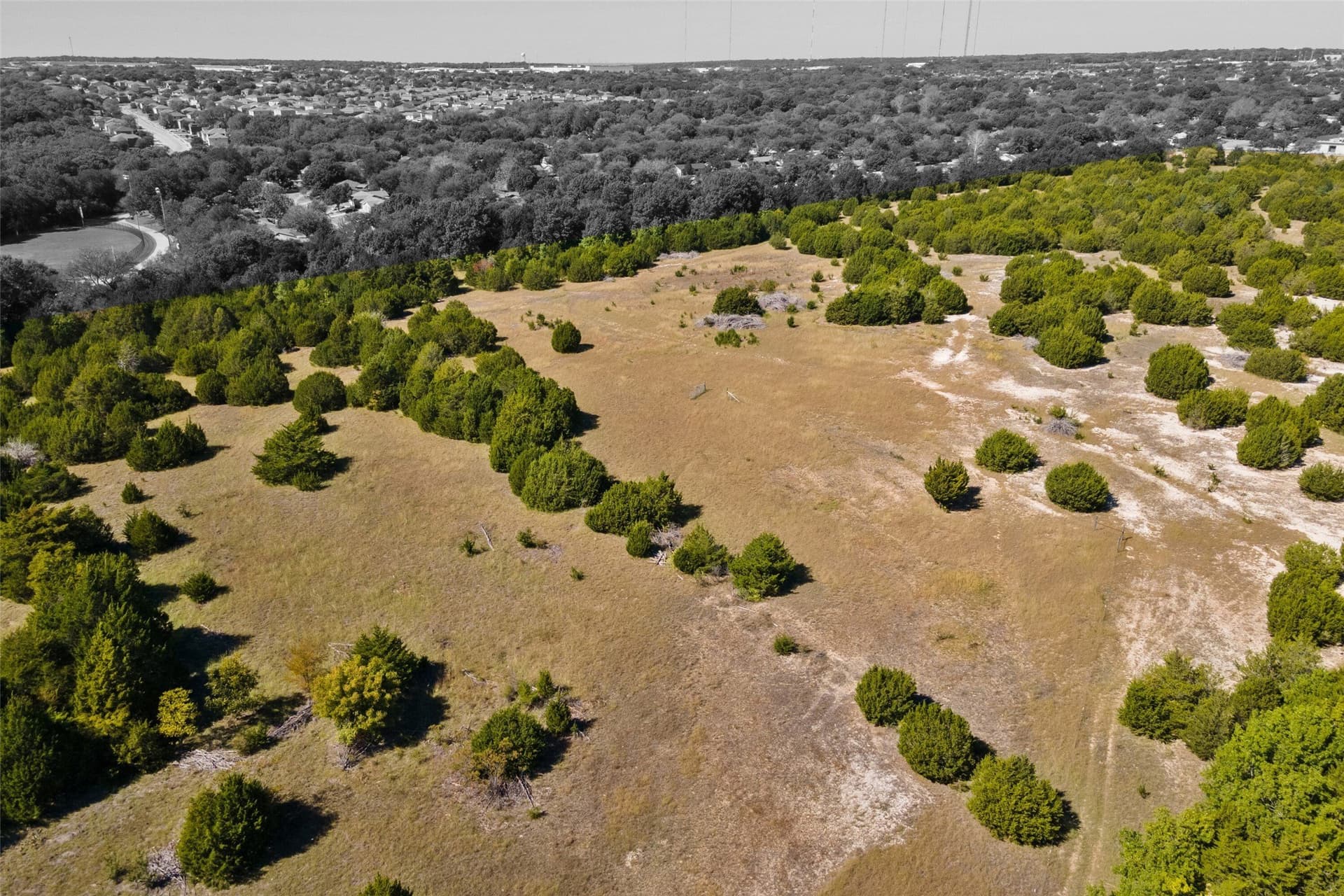 44.94 acres in Dallas County - photo 9