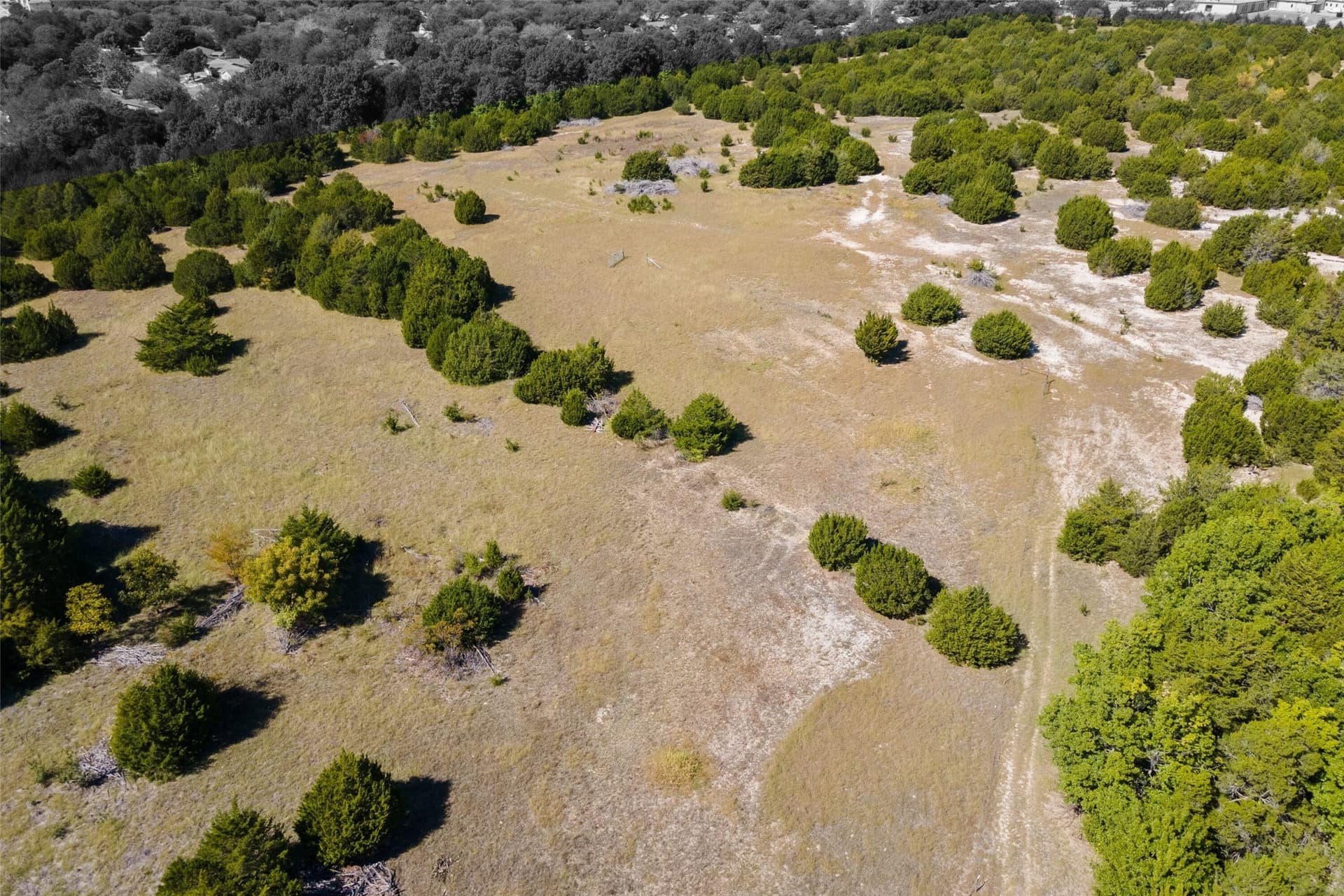44.94 acres in Dallas County - photo 3