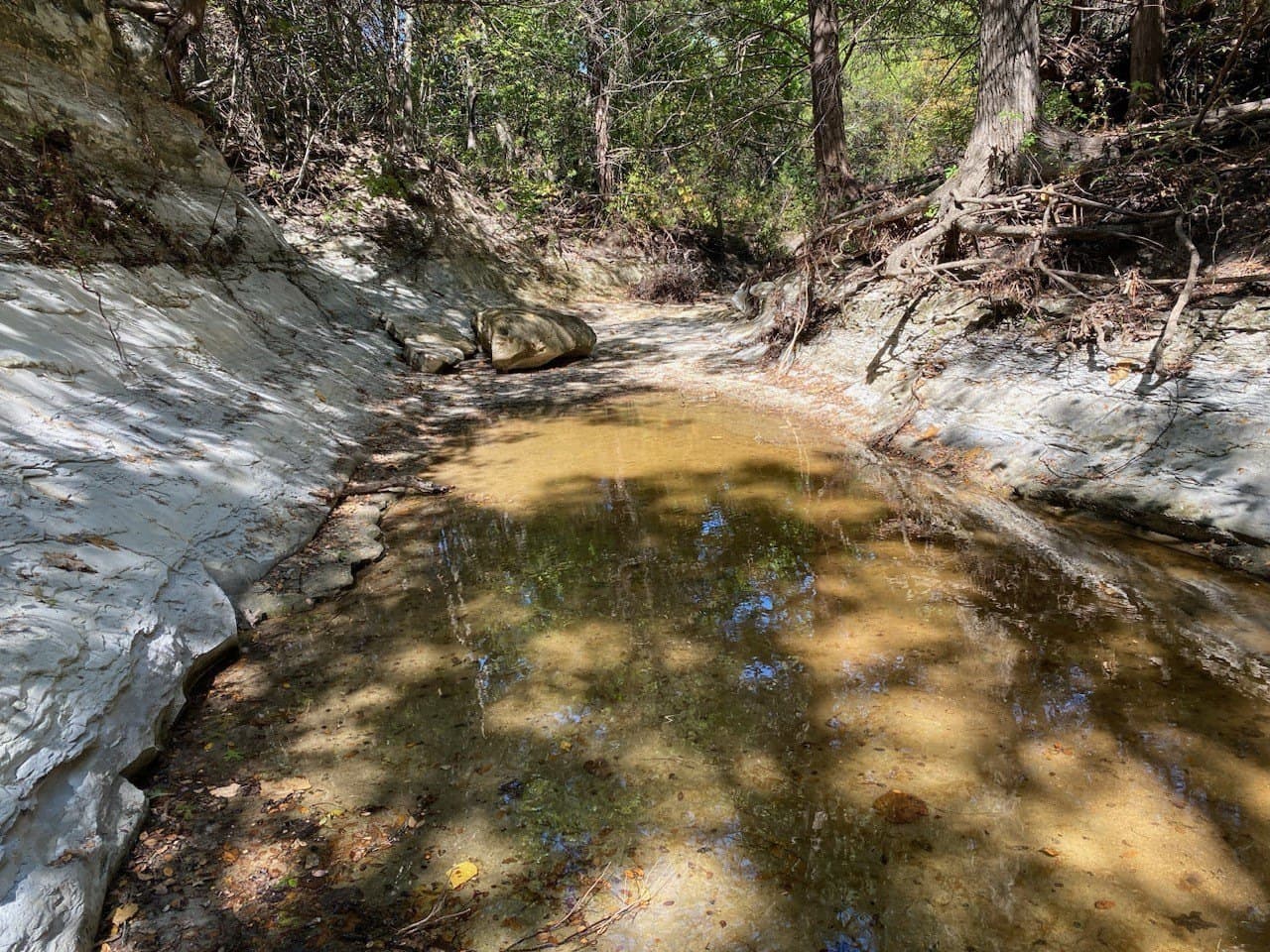 44.94 acres in Dallas County - photo 19