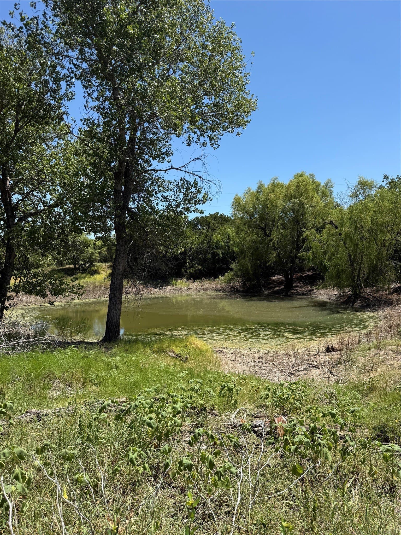 10.03 acres in Hood County - photo 9