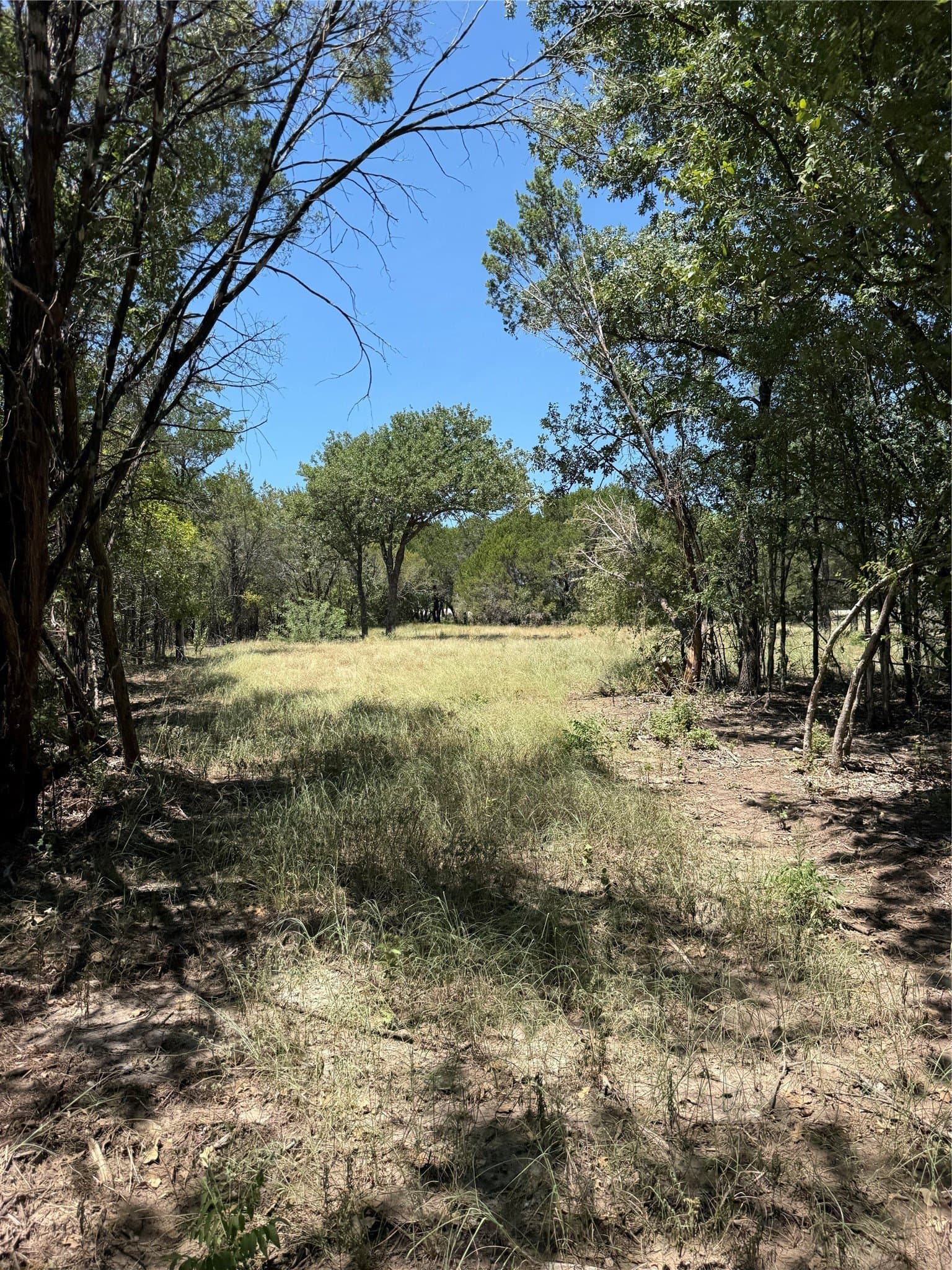 10.03 acres in Hood County - photo 8