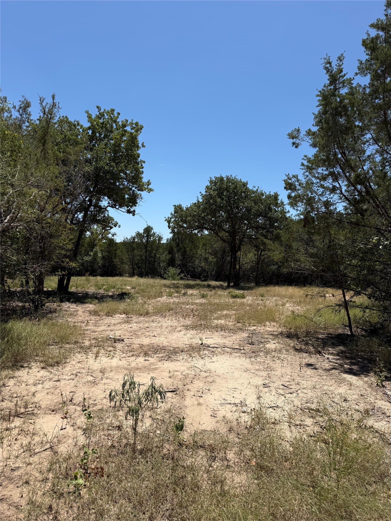 10.03 acres in Hood County - photo 10
