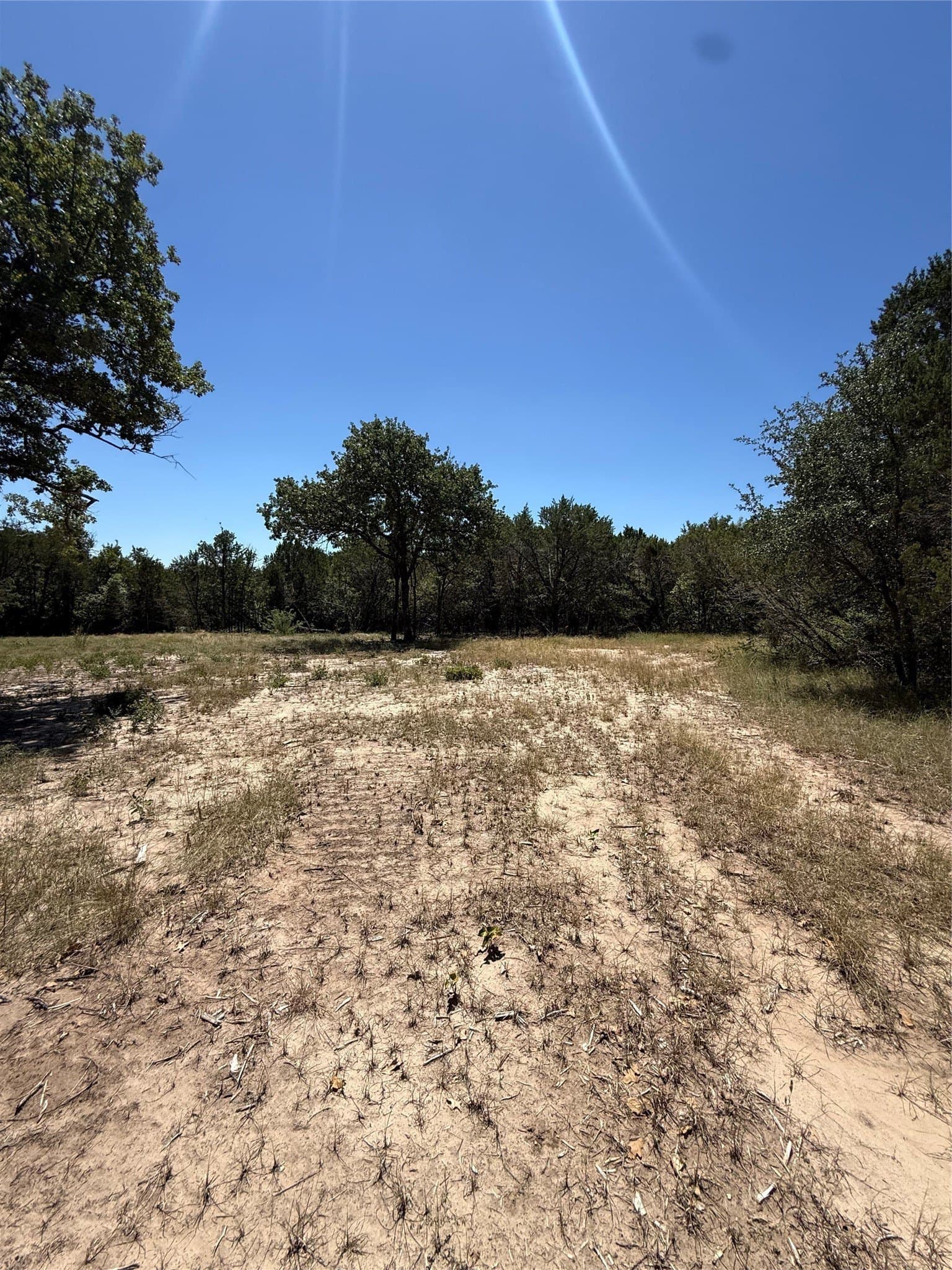 10.03 acres in Hood County - photo 6