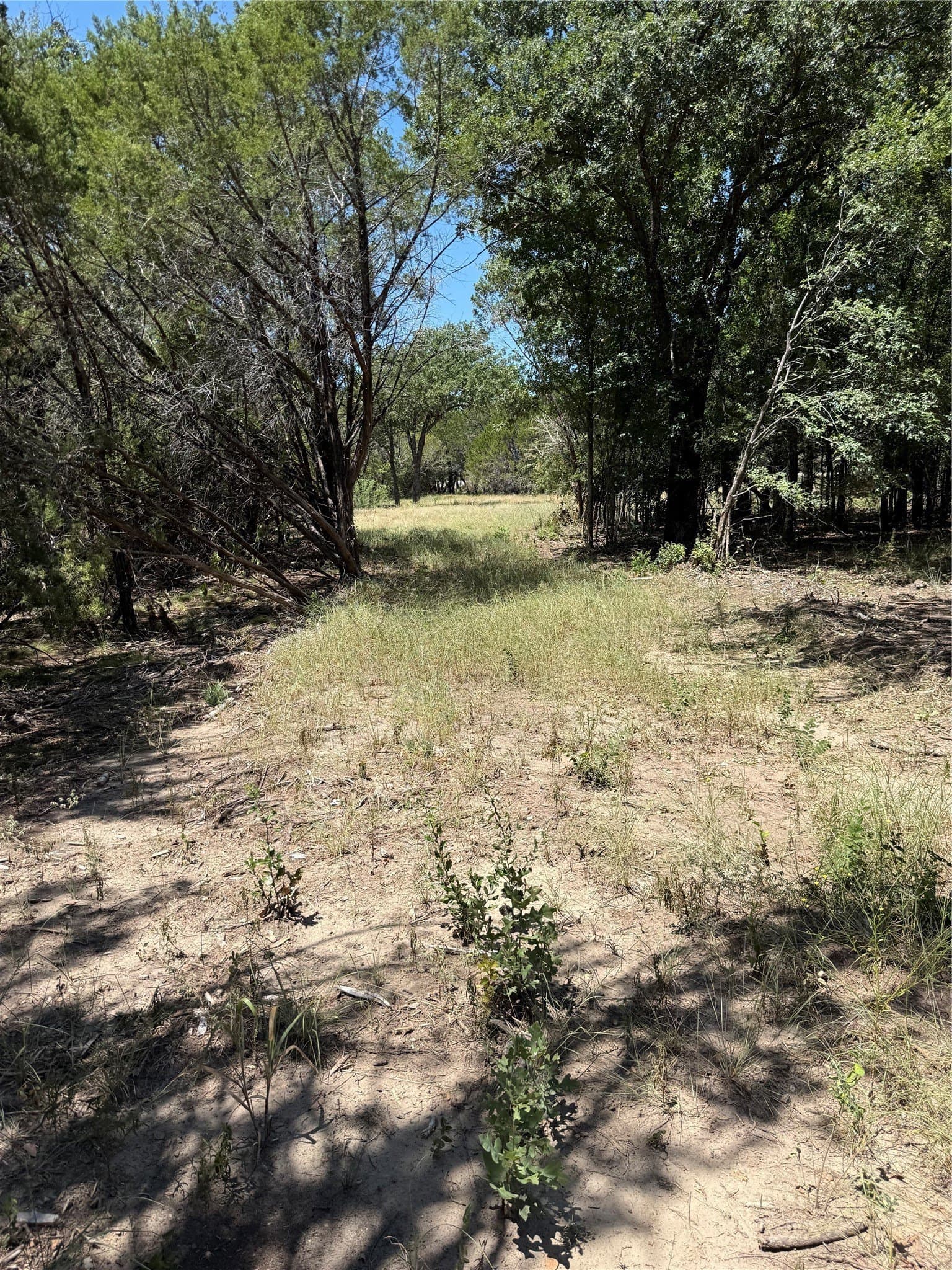 10.03 acres in Hood County - photo 7