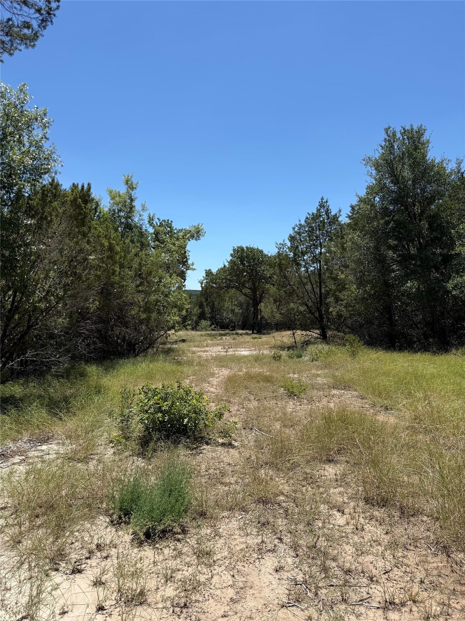 10.03 acres in Hood County - photo 5