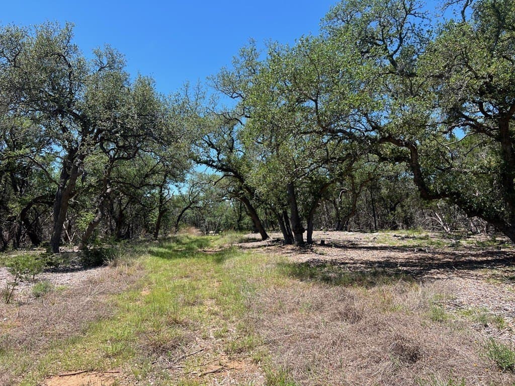 11.94 acres in Blanco County featured view