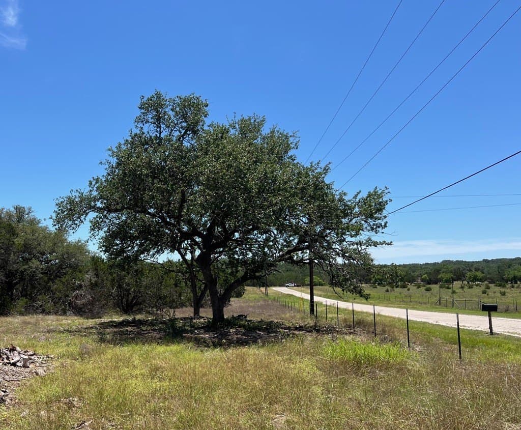 11.94 acres in Blanco County gallery image 3