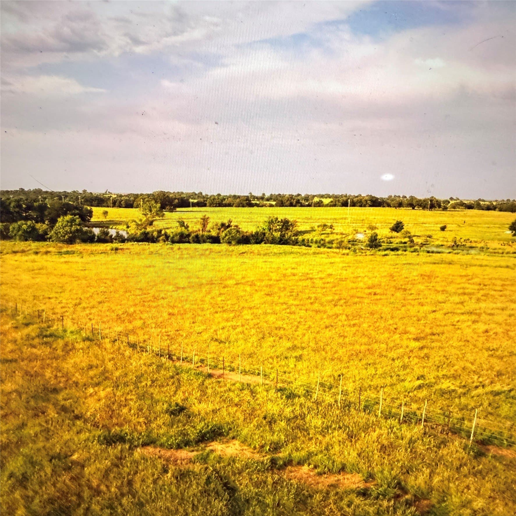5 acres in Palo Pinto County - photo 11