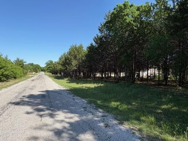 0.46 acres in Grayson County gallery image 3