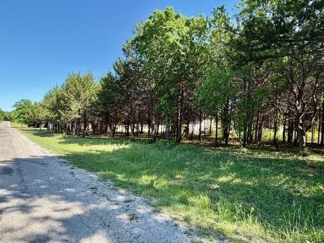 0.46 acres in Grayson County gallery image 2