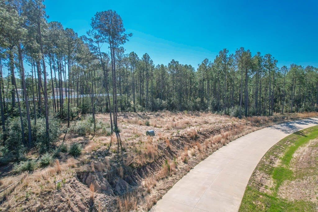 0.67 acres in Texas County featured view
