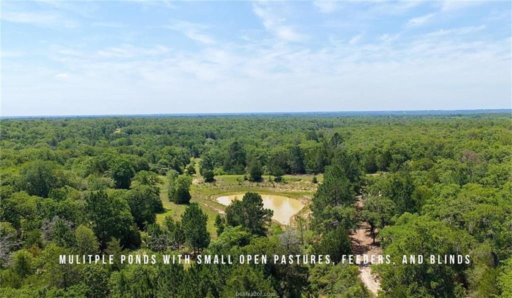 839 acres in Lee County - photo 11