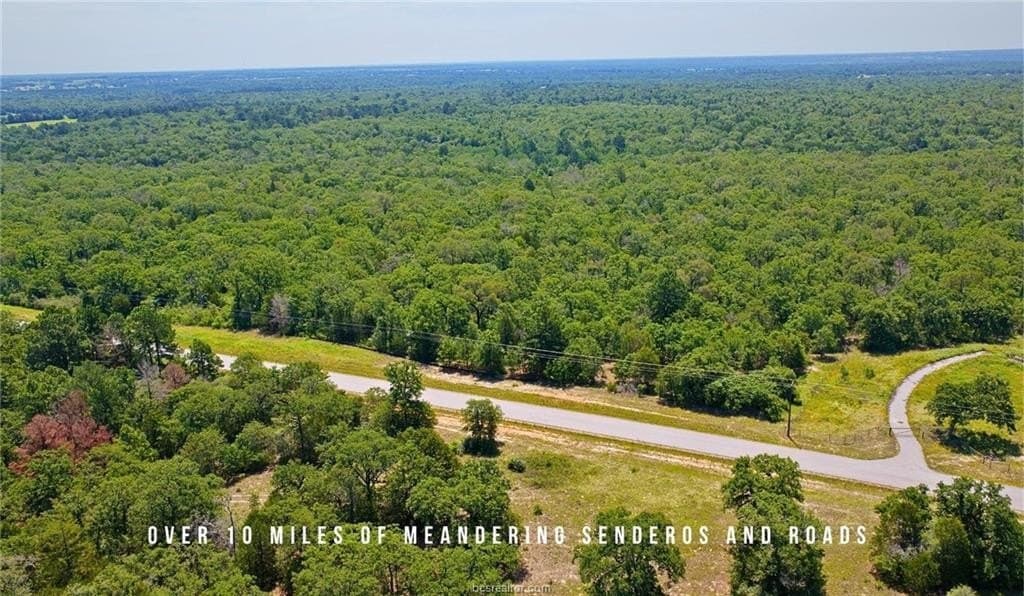 839 acres in Lee County - photo 13