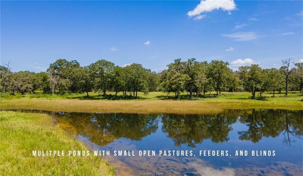 839 acres in Lee County - photo 3