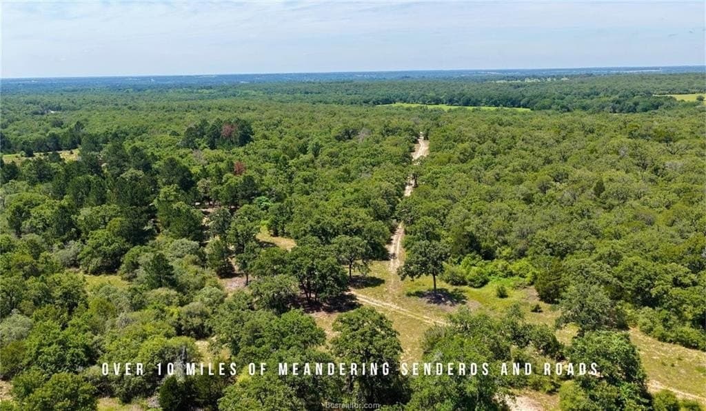 839 acres in Lee County - photo 10