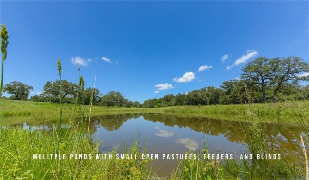 839 acres in Lee County - photo 4
