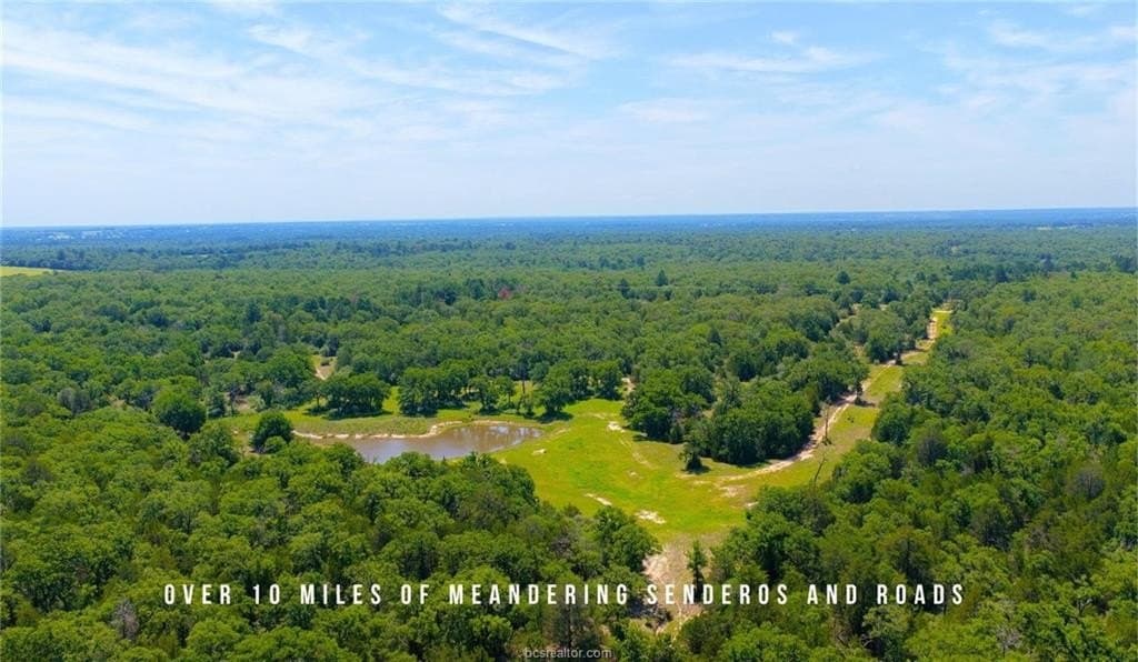 839 acres in Lee County - photo 6