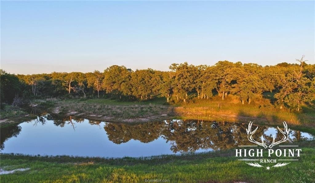 839 acres in Lee County - photo 21