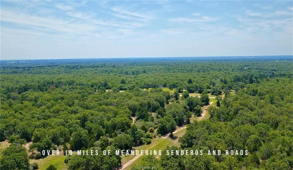 839 acres in Lee County - photo 15